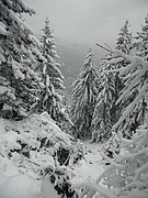 PC120033.JPG