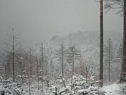 PC120035.JPG