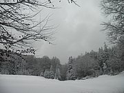 PC120036.JPG