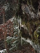 PC120038.JPG