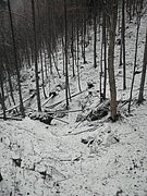 PC120040.JPG