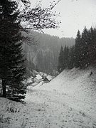 PC120043.JPG