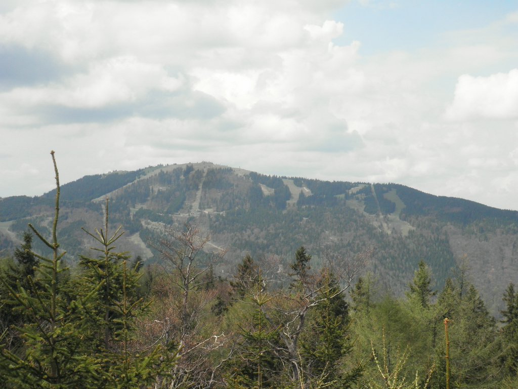 P4300016.JPG