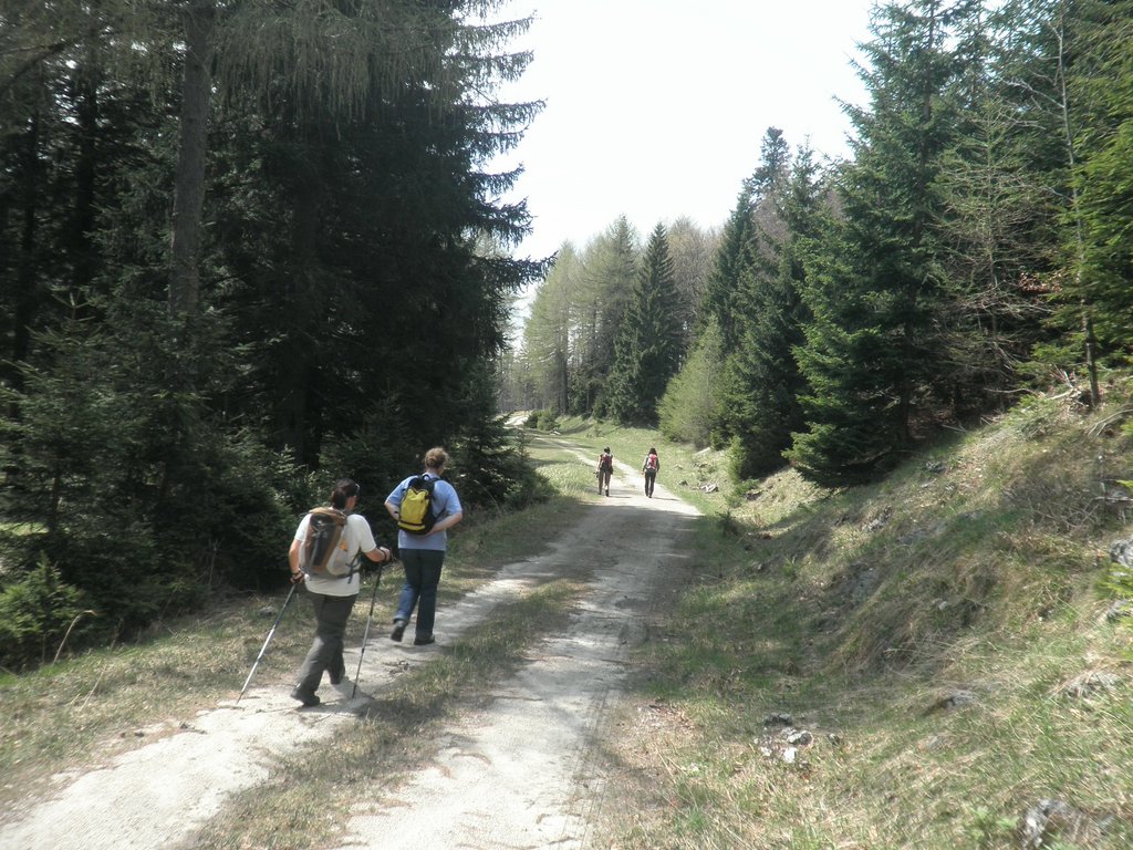 P4300025.JPG