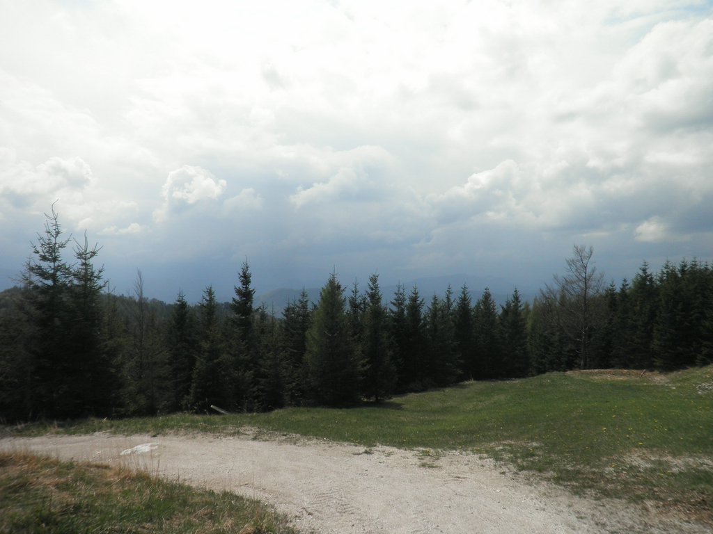 P4300026.JPG