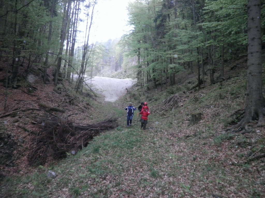 P4300032.JPG