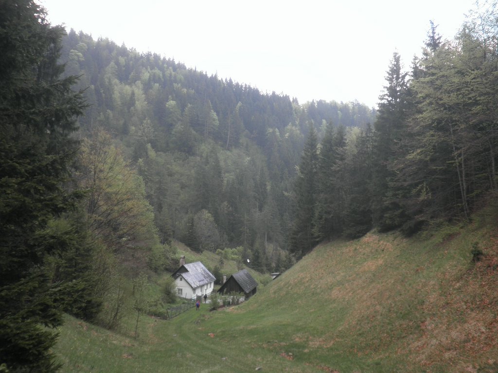 P4300033.JPG