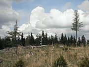 P4300010.JPG