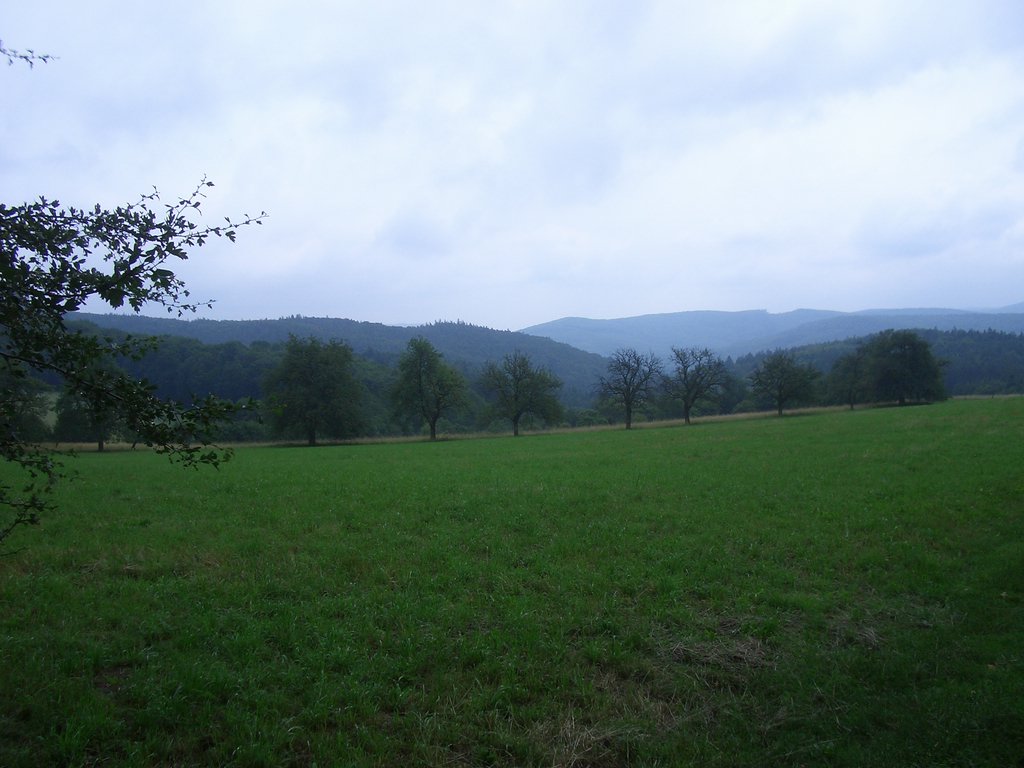 CIMG5828.JPG