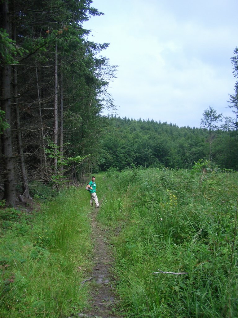 CIMG5835.JPG