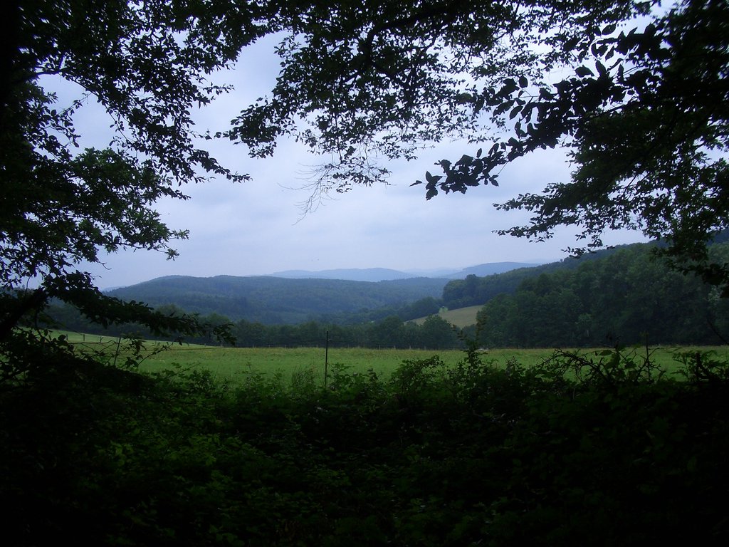 CIMG5836.JPG