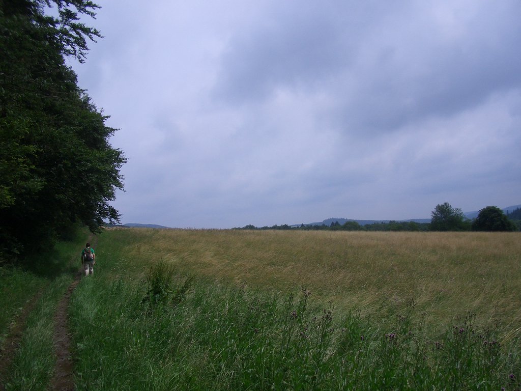 CIMG5838.JPG