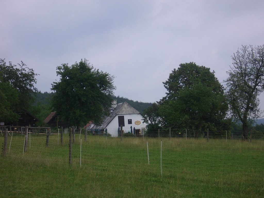 CIMG5841.JPG