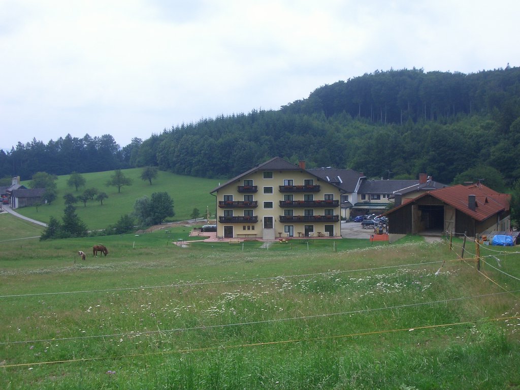 CIMG5846.JPG