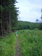 CIMG5835.JPG