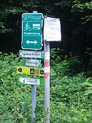 CIMG5851.JPG