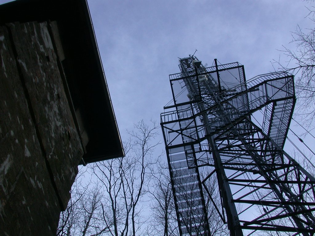DSCN4712.JPG