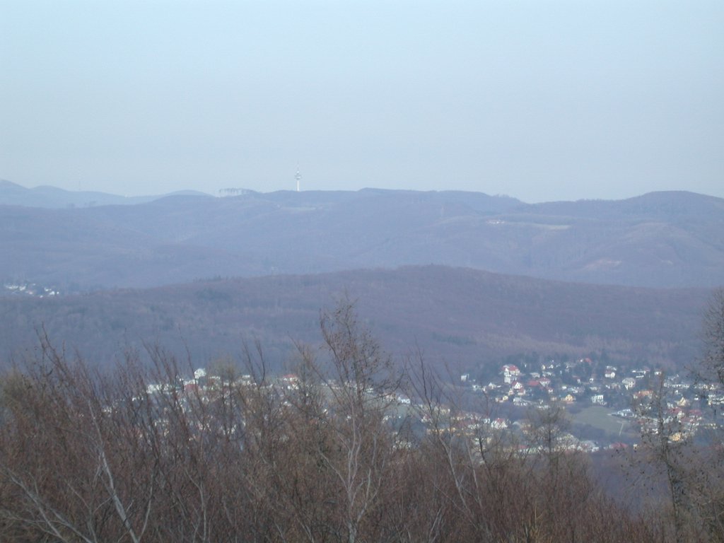 DSCN4719.JPG