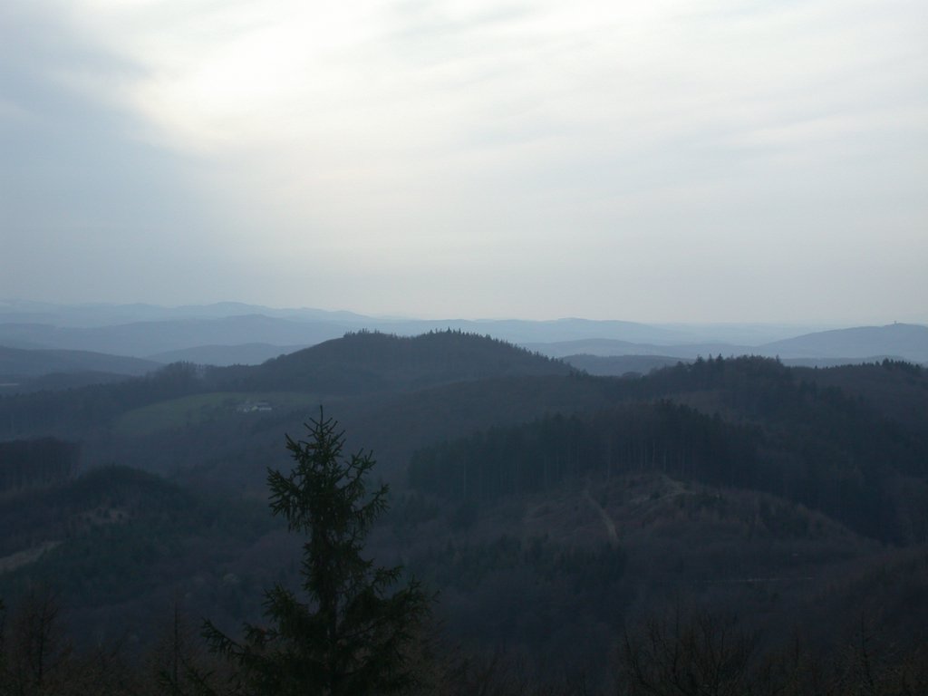 DSCN4722.JPG