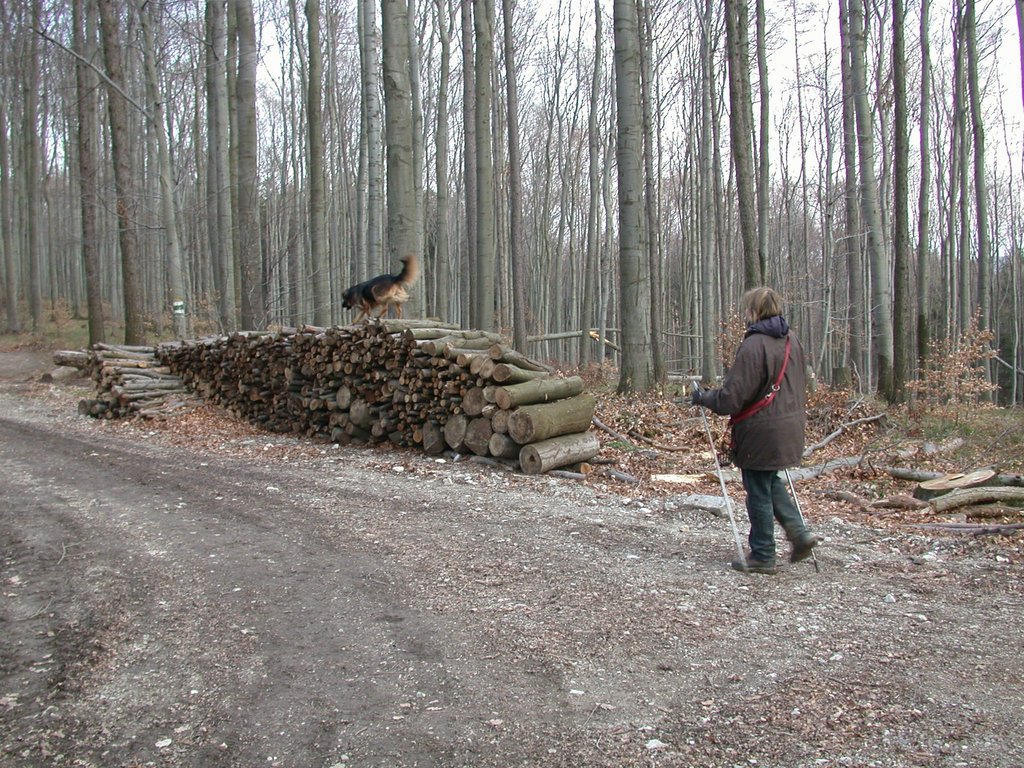 DSCN4726.JPG