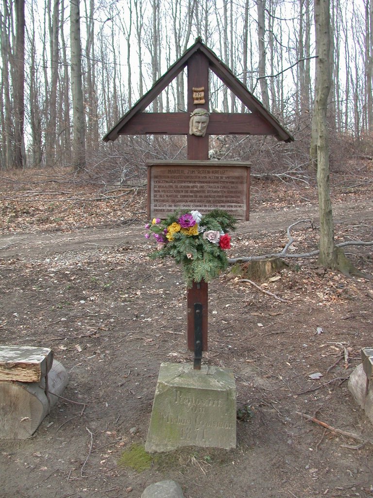 DSCN4728.JPG