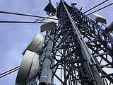 DSCN4716.JPG