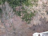 DSCN4723.JPG