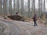 DSCN4726.JPG
