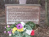 DSCN4727.JPG