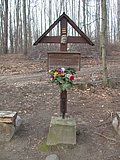 DSCN4728.JPG