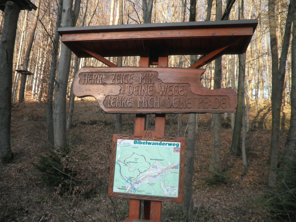 P2220002.JPG