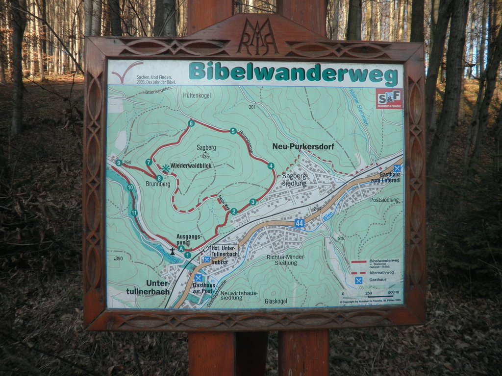 P2220003.JPG