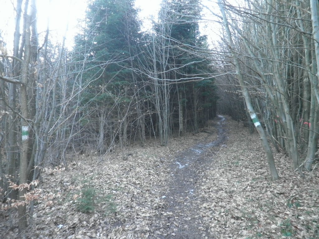 P2220005.JPG