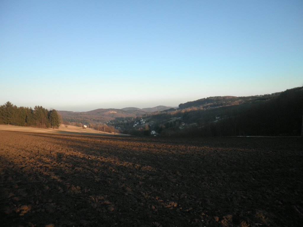 P2220009.JPG