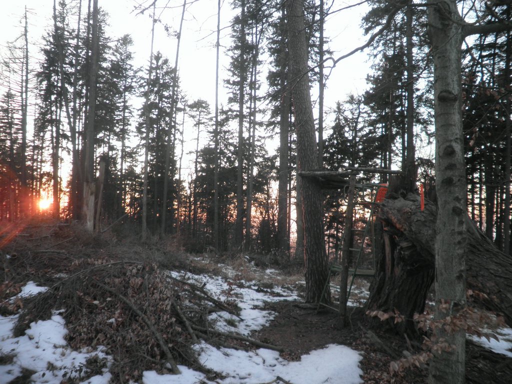 P2220014.JPG