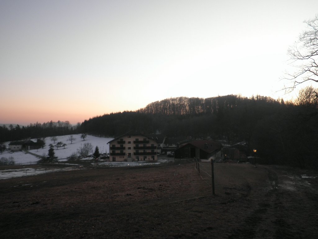 P2220018.JPG
