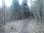 P2220005.JPG