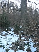 P2220007.JPG