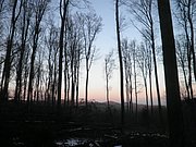 P2220015.JPG