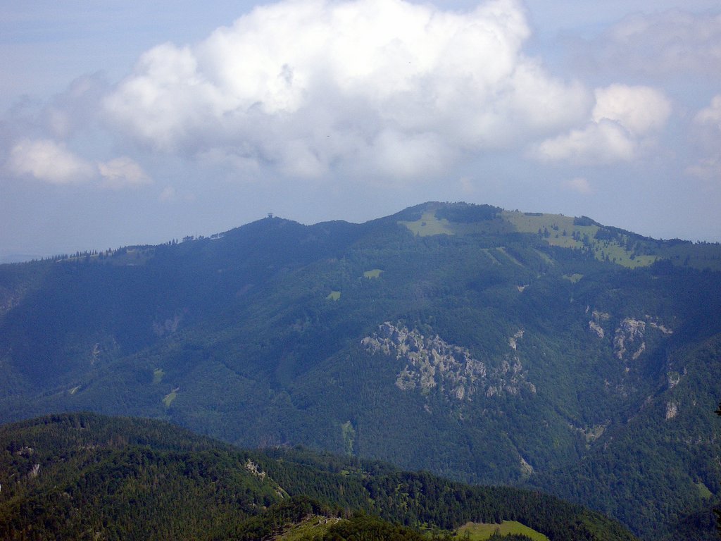 CIMG6601.JPG
