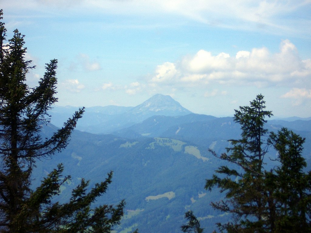 CIMG6606.JPG