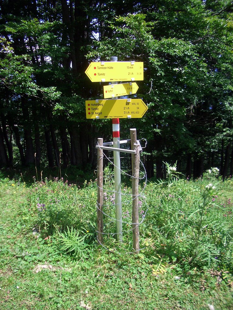 CIMG6608.JPG