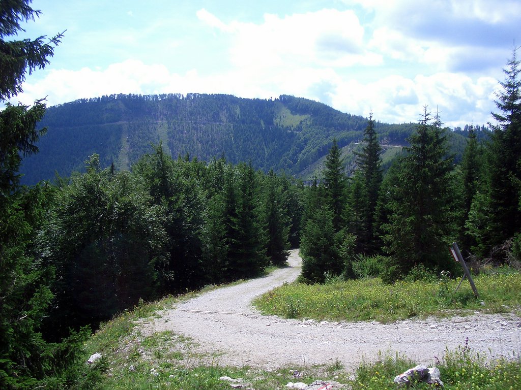 CIMG6609.JPG
