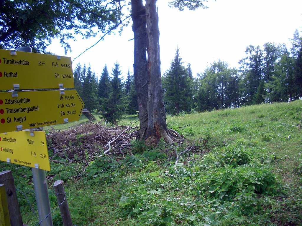 CIMG6621.JPG