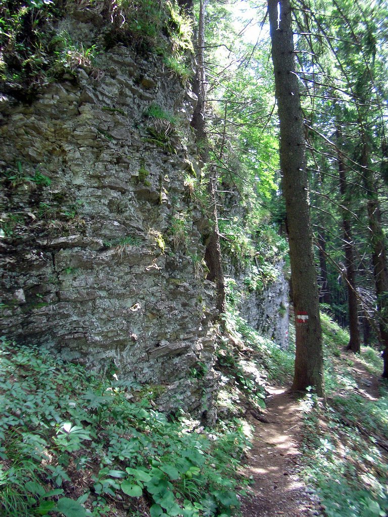 CIMG6624.JPG