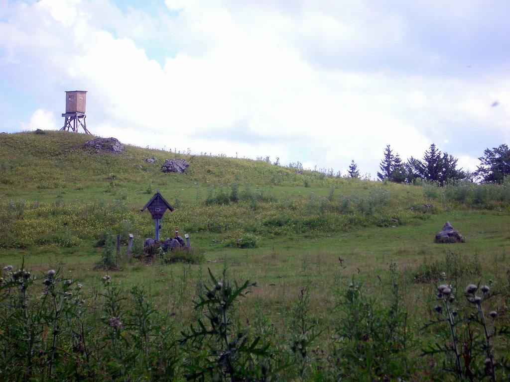 CIMG6627.JPG