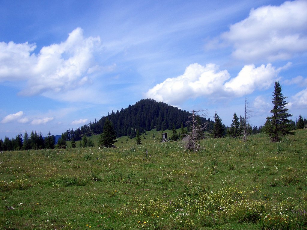 CIMG6643.JPG