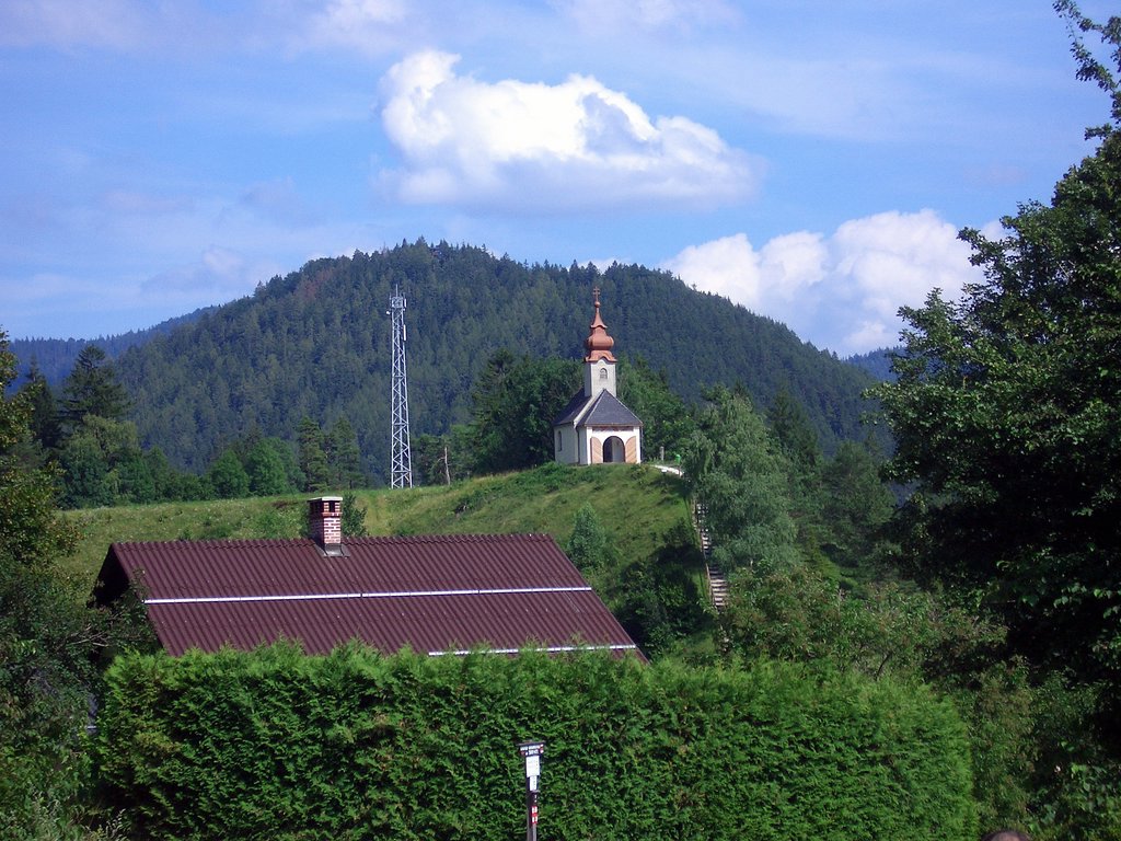 CIMG6656.JPG