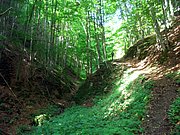 CIMG6584.JPG