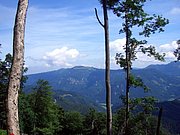 CIMG6591.JPG